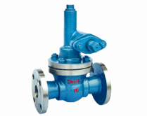 {ҺyyŚyyy